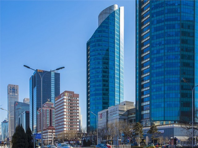 平顶山金钗石斛厂家